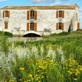 Moulin des Loges