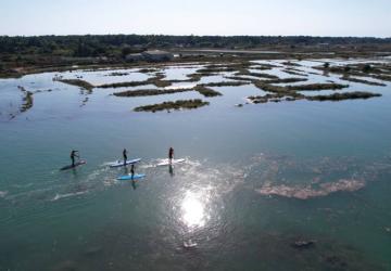 Balade paddle !