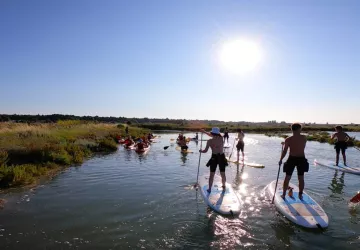 Ecole de surf Moana balade paddle marais