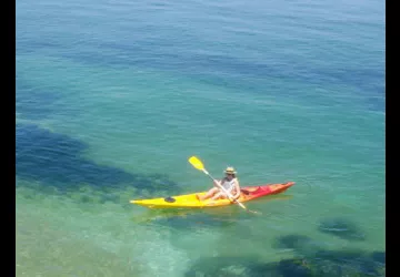 Sortie en mer