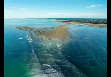 Ecluse à poissons à Saint-Denis-d'Oléron_Saint-Denis-d'Oléron