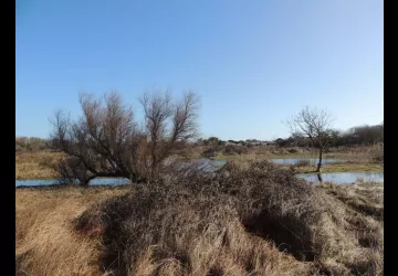 Marais de la Perroche