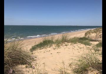 plage des saumonards