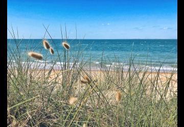 plage des saumonards