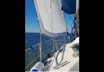 Azulile_Saint-Denis-d'Oléron