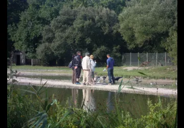 Visite guidée du site