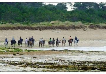 Balade plage