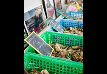 La cabane de Batifou - Courdavault Alain & Fils_Dolus-d'Oléron
