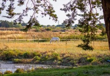 Camping les Embruns d'Oléron_Le Château-d'Oléron