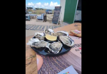 Huîtres Videau_Saint-Trojan-les-Bains