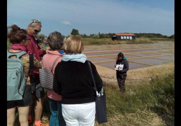 Fête de la nature au Port des Salines