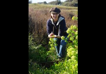 Atelier reconnaissance des plantes sauvages comestibles et dégustation