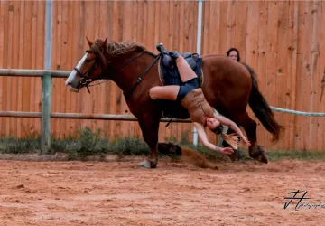 Les Écuries De Laguivari