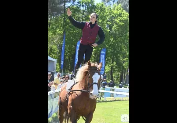 Les Écuries De Laguivari