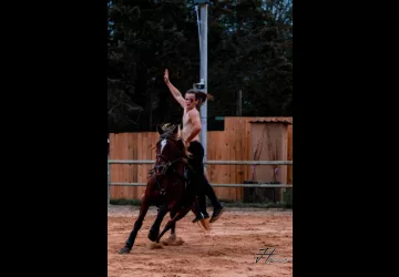 Les Écuries De Laguivari