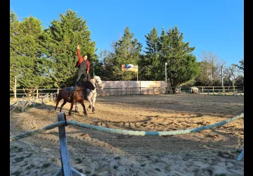 Les Écuries De Laguivari