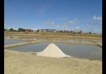 Journées du Patrimoine au Port des Salines