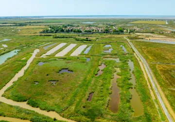 Circuit pédestre: Au détour des marais, du côté de Hiers_Marennes-Hiers-Brouage
