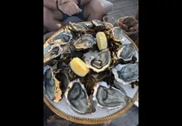 Camping Le Héron_Dolus-d'Oléron