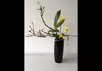 Heïka Keisha-kei, incliné