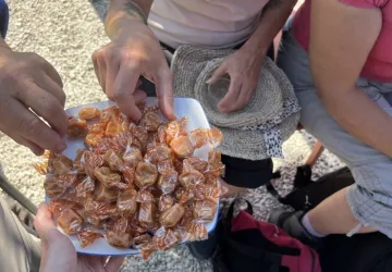 Visite dégustation au Port des Salines_Le Grand-Village-Plage