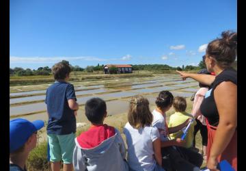Atelier 7-12 ans le marais dans tous les sens au Port des Salines