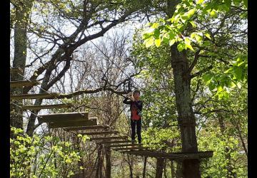 Accrobranche - Parc de la Gataudière