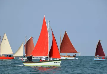 FIP 2023