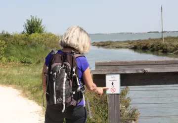 Chemin d'Oléron - du Château d'Oléron à Boyardville_Le Château-d'Oléron
