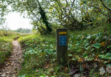 Chemin d'Oléron - du Château d'Oléron à Boyardville_Le Château-d'Oléron