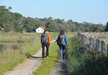 Chemin d'Oléron - du Château d'Oléron à Boyardville_Le Château-d'Oléron