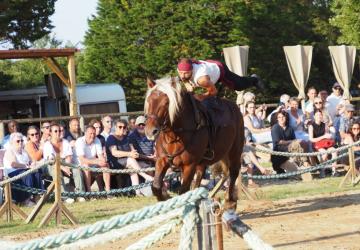 Spectacle équestre