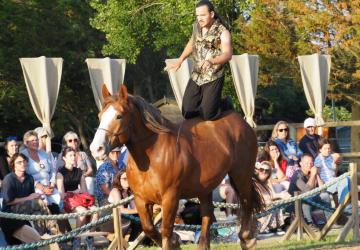 Spectacle équestre