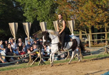 Spectacle équestre