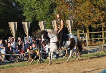 Spectacle équestre