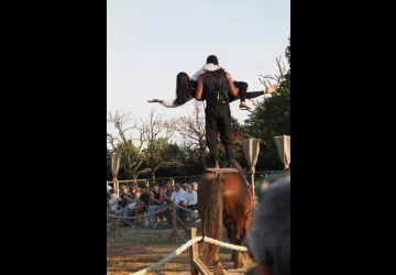 Spectacle équestre