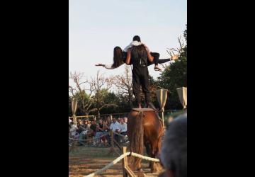 Spectacle équestre