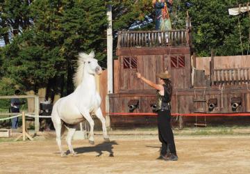 Spectacle équestre