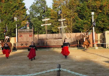 Spectacle équestre