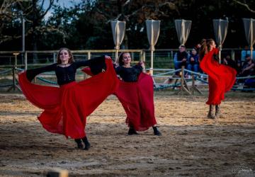 Troupe Caval'Air