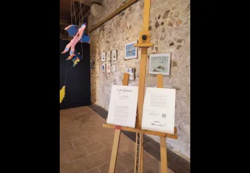 Exposition "À pas feutrés " - Emma Schnellbach_Marennes-Hiers-Brouage
