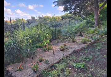 Les jardins de l'âme cham