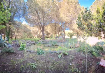 Les jardins de l'âme cham