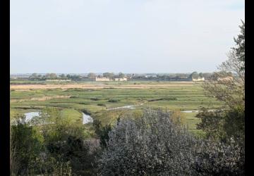 Hébergement Saint-Roch - Meublé_Marennes-Hiers-Brouage
