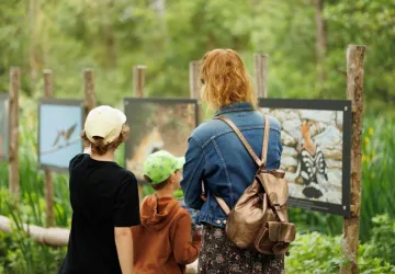 Enquête au Marais_Dolus-d'Oléron