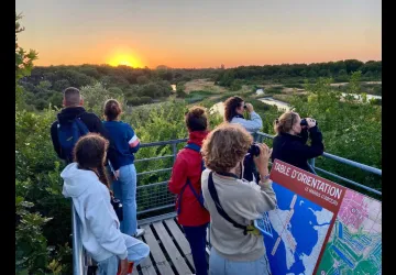 Le coucher des aigrettes_Dolus-d'Oléron