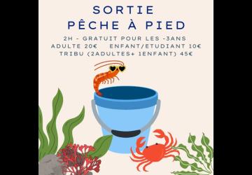 Pêche à pied