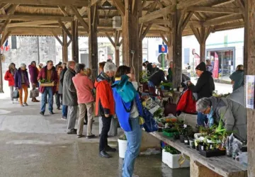 Bourse aux plantes d'Oléron_Saint-Georges-d'Oléron