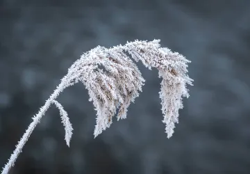 Exposition de photographie