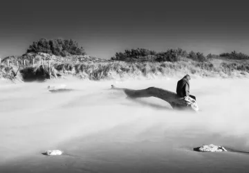 Exposition de photographie